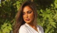 من هي الفاشينيستا الكويتية فاطمة المؤمن تتسبب في حادث مروري أليم