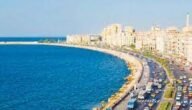 كم عدد المدن التي تحمل اسم الاسكندرية في العالم ويكيبيديا