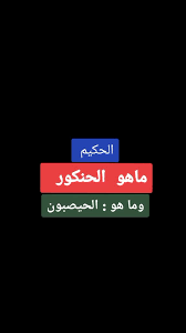 ما هو الحيصبون – خليجنا