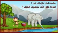 لماذا خلق الله خرطوم الفيل