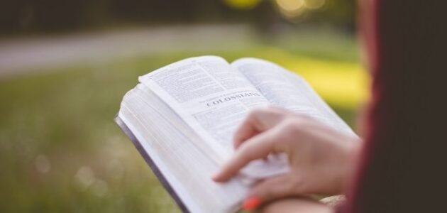 تحميل كتاب فن الكلام إيهاب فكري pdf