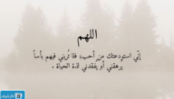 عبارات تهنئة بالشفاء 1445 كلام جميل عن سلامة المريض