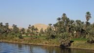 ما هو أكبر نهر في العالم من حيث التصريف المائي