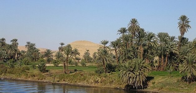 ما هو أكبر نهر في العالم من حيث التصريف المائي