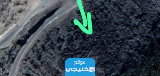 ما هي قصة ريما مناع التي ضحت بحياتها لأجل أشقائها.. تفاصيل كاملة