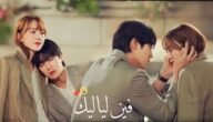 من هم ابطال مسلسل اراك في حياتي التاسعة عشر