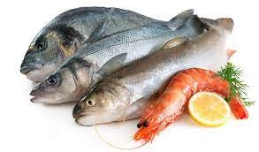 ماهي أول دولة في صيد الأسماك عربيا ؟