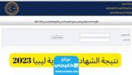 ظهرت رسميا.. استخراج نتائج الشهادة الإعدادية ليبيا 2023 الدور الثاني برقم الجلوس Natija.moel.ly