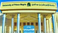 تخصصات جامعة الأمير مقرن للبنات 1445 وشروط القبول