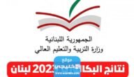 نتائج الترمينال في لبنان: رابط استخراج نتائج البكالوريا لبنان Mehe.gov.lb نتائج الامتحانات الرسمية