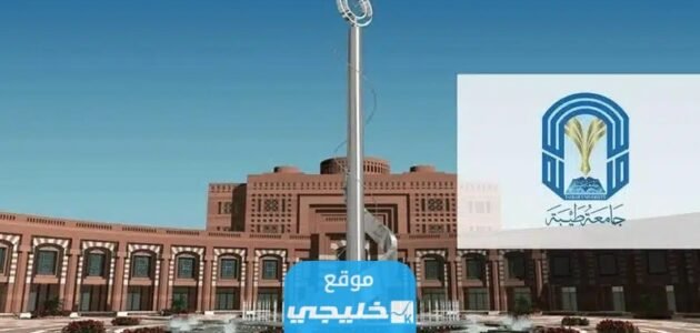 شروط التقديم على ماجستير جامعة طيبة السعودية 1445/ 2023 والأوراق المطلوبة