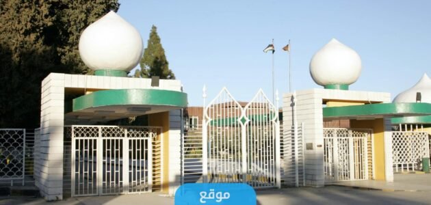 تخصصات الجامعة الاردنية 2023/2024 (الشروط + معدلات القبول)