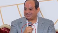 حقيقة مرض السيسي بالشلل – خليجنا