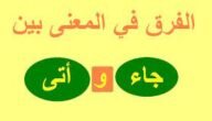 ما الفرق بين جاء وأتى