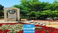 معدل القبول في جامعة البلقاء التطبيقية في الأردن 2023 لجميع التخصصات