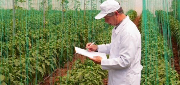 ما الفرق بين كلية الزراعة وكلية الهندسة الزراعية