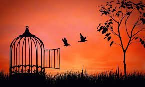 موضوع تعبير عن الحرية للصف الأول الاعدادي