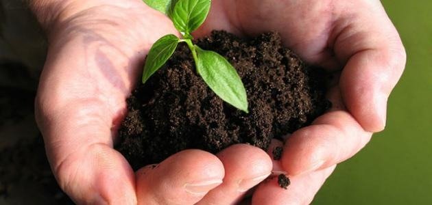 بحث عن طبيعة العلم وطرائقه جاهز للطباعة