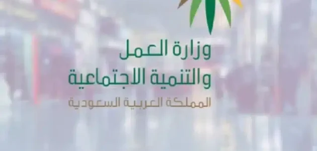 استعلام عن نطاق شركة برقم الهوية في السعودية 1445 بالخطوات التفصيلية