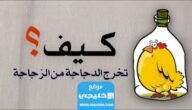 حل لغز كيف تخرج الدجاجة من الزجاجة.. تفاصيل الحل مع الشرح