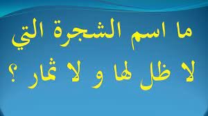 لغز ما هي الشجرة التي ليس لها ظل وليس لها ثمار