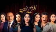 شرح مسلسل أفراح القبة – خليجنا