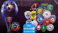 ترتيب هدافي الدوري السعودي بعد نهاية الجولة الأخيرة موسم 2022-2023