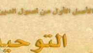 ما هو التوحيد الذي اقر به الكفار