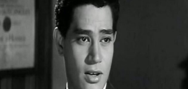 من هي ماجدة بيضون ويكيبيديا