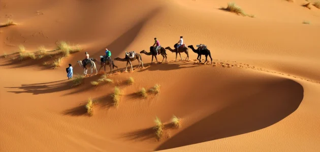 العرفج وش يرجعون، أصل عائلة العرفج من وين