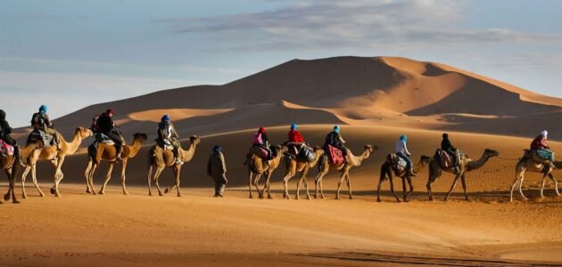 العواد وش يرجعون، ما هو اصل عائلة العواد من اي قبيلة