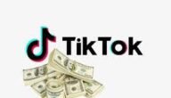 كم يدفع التيك توك مقابل 1000 مشاهدة