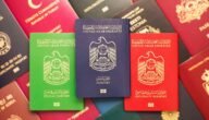 من يستحق الجواز الأخضر الكويتي 2023 1 من يستحق الجواز الأخضر الكويتي 2023