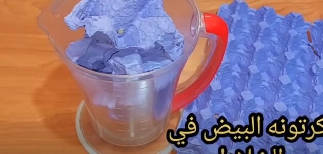 ضعي كرتونه البيض في الخلاط اختراع رهيب للتخلص من الصراصير والنمل
