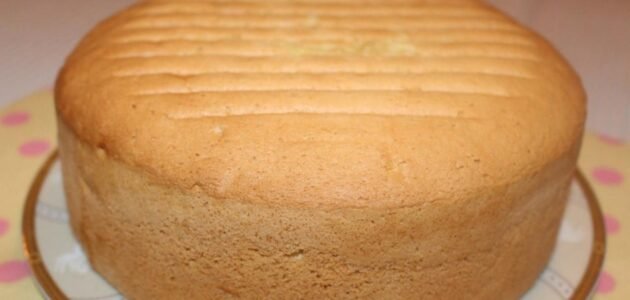 ب3 بيضات فقط اعملي الكيكة الاسفنجية في الخلاط