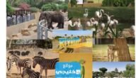اوقات عمل حديقة حيوان الرياض 2023 / 1445