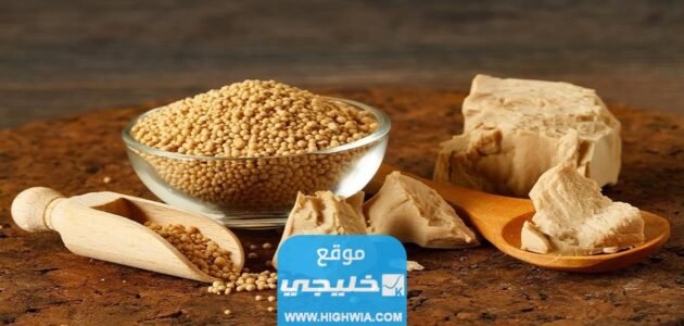 فوائد خميرة الخبز للجسم والبشرة تعرفوا اليها