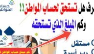 كم مبلغ حساب المواطن لكل فرد 1445 وأسماء المؤهلين للدعم الإضافي