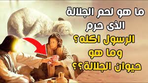 ما هي الجلالة من الحيوان 1 ما هي الجلالة من الحيوان