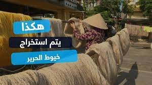 من اين يستخرج خيوط الحرير الطبيعي