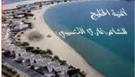 شرح درس اغنية الخليج للصف العاشر الفصل الاول