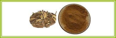 دواء يستخرج من لحاء شجر الصفصاف