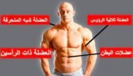 كيف نجعل عضلاتنا اكبر واقوى