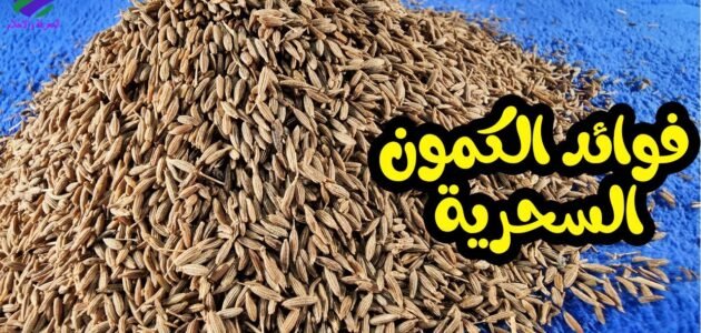 تعرفي على فوائد الكمون الرائعة على صحتك 1 تعرفي على فوائد الكمون الرائعة على صحتك