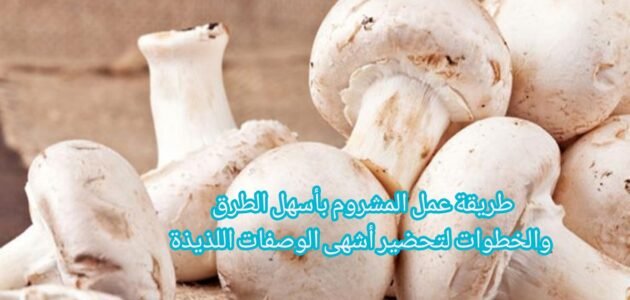 طريقة عمل المشروم بأسهل الطرق والخطوات لتحضير أشهى الوصفات اللذيذة 1 طريقة عمل المشروم بأسهل الطرق والخطوات لتحضير أشهى الوصفات اللذيذة