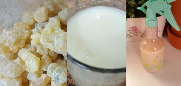 وصفة لبان الذكر والأرز للتفتيح وشد التجاعيد والخطوط الرفيعة.. وداعاً للبوتكس 1 وصفة لبان الذكر والأرز للتفتيح وشد التجاعيد والخطوط الرفيعة.. وداعاً للبوتكس