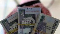 كم يبلغ دعم ريف للعاطلين وما هي شروط الحصول عليه
