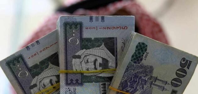 كم يبلغ دعم ريف للعاطلين وما هي شروط الحصول عليه