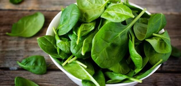 " دواء رخيص ومتوفر بكثرة ".. عصير السبانخ يقاوم الجلطة ويديكي بشرة نضرة 1 ” دواء رخيص ومتوفر بكثرة “.. عصير السبانخ يقاوم الجلطة ويديكي بشرة نضرة