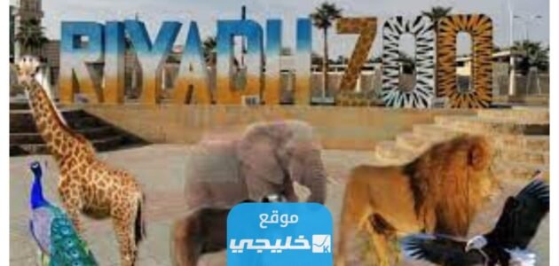 اسعار تذاكر حديقة الحيوان الرياض زوو في موسم الرياض 1445